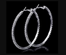 Sparkly Hoop Earrings - new - nice gift