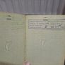 Rare 1948 Irish Passport & Travel card Image 4