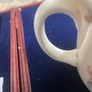 BunnyKins royal Doulton mug Image 5