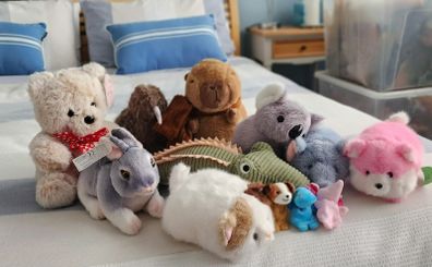 Soft Toys Bundle, Plush Toys