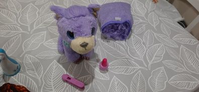 Little Live Pets Scruff-a-Luvs
