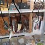 wolf Tooth necklace Image 6