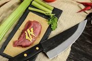 Chef Meat Cutting 8 Inch Forged Knife by Di'Casteel