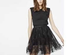 Maje Skirt