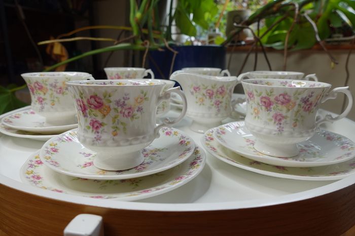 Vintage Elizabethan tee/coffee 6 person set