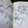 Cahir a guide to the heritage town and district Ireland Tipperary local history Image 5
