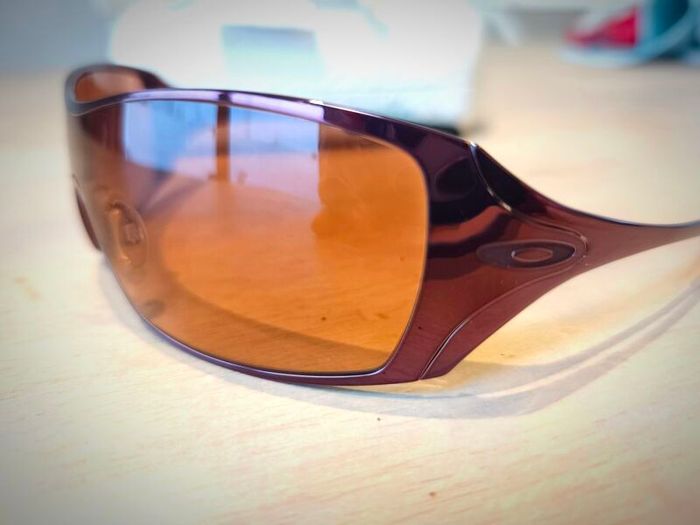 Oakley Dart sunglasses