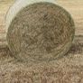 Hay for sale Image 3