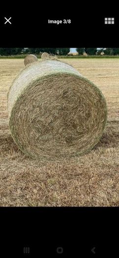 Hay for sale