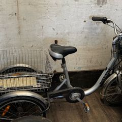 Batbike trike
