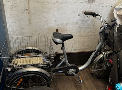 Batbike trike