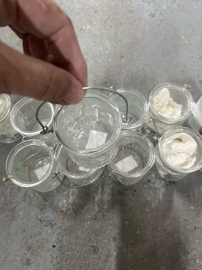 glass bottles