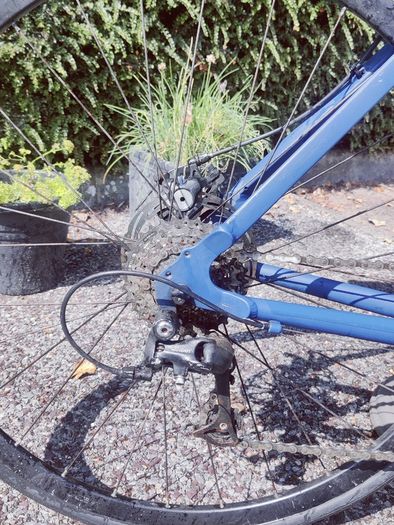 Men's Road Bike