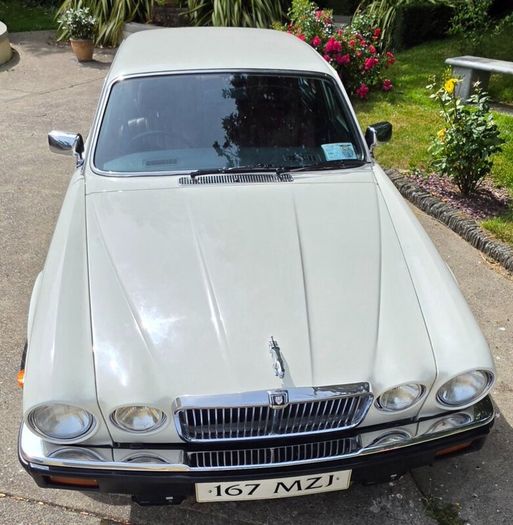 Jaguar XJ 1980 (Perfect wedding car)