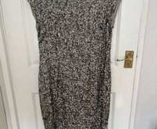 Mint velvet cocktail dress
