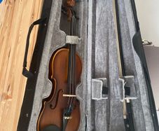 Violin