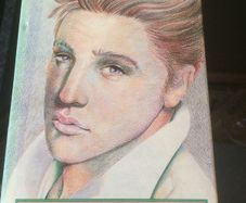 Rare elvis 1980s hardback book free postage