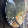 Earth - Hibernaculum (Limited Picture Disc) Image 2