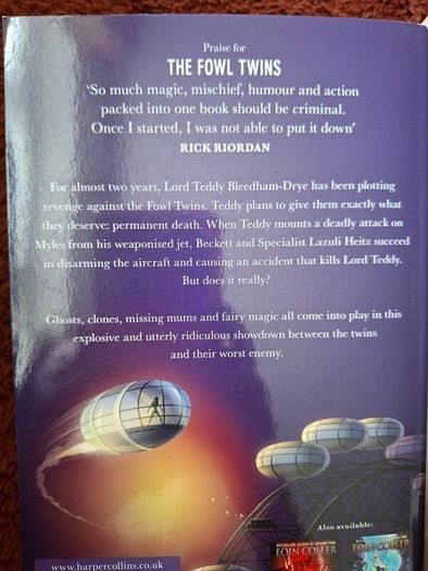 The Fowl twins by Eoin Colfer