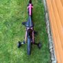 trek caliber 16 inch pink Image 5