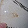 Antique large Burgess & Leigh Trentham serving plate Image 7