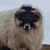 arturo1