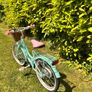 18 Inch Verve Star Bike with Basket Mint Image 7
