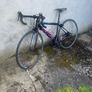 Bike Carrera Image 5
