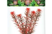 Aqua Nova Artificial Plant 20cm NP-20 20012