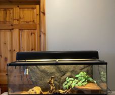 Exo Terra Reptile Tank