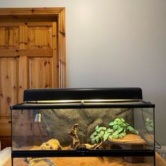 Exo Terra Reptile Tank
