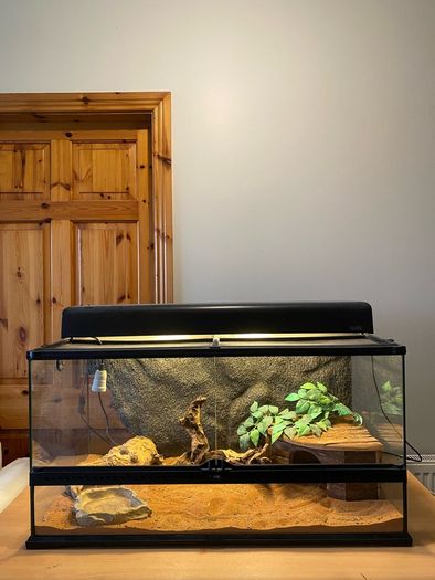 Exo Terra Reptile Tank