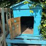 Free Dog Kennel Image 3