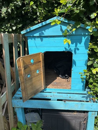 Free Dog Kennel