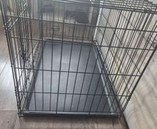 dog crate