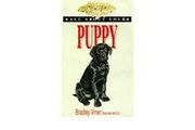 All About Your 'puppy'