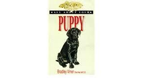 All About Your 'puppy'