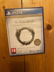 The Elder Scrolls Online PS4