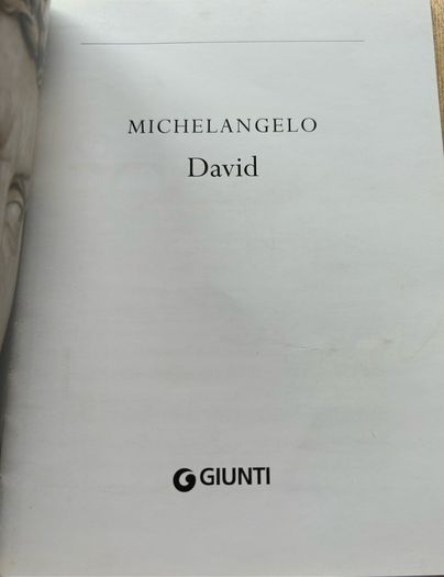 Michelangelo DAVID published by Giunt