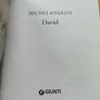 Michelangelo DAVID published by Giunt Image 3