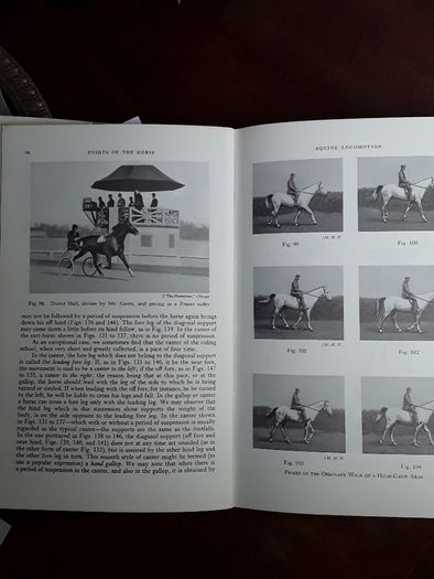 Points of the Horse, Capt. M. Horace Hayes
