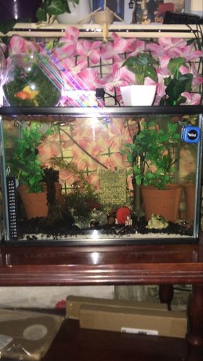 Fish Tank Swap