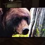 Lg 75"4k Uhd Smart Tv 75ur78006lk Image 8