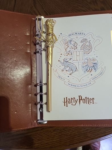 Harry Potter diary