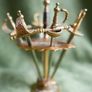Vintage 1960 Toledo Cocktail Swords, Vintage Cocktail Skewers Image 2