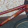 Boys Apollo Cipher Mtb Image 2