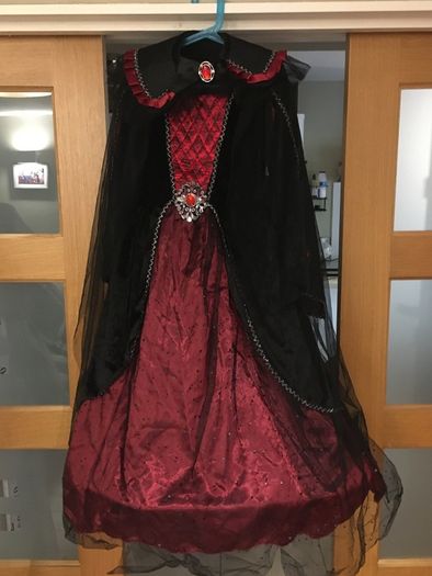 Girls Dress Up Costume