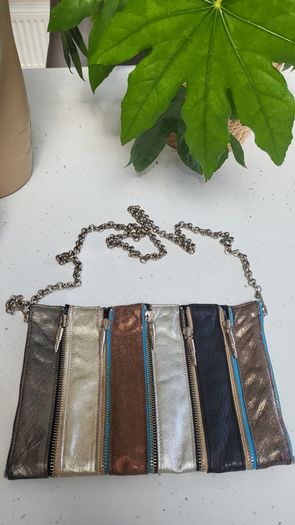 Louise Farnay metallic tones magnetic snatch crossbody bag - Rrp 129 dollars (New)