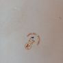 Arklow Pottery platter Image 4