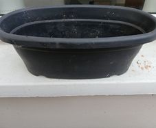 Window box - 35cm x 20cm